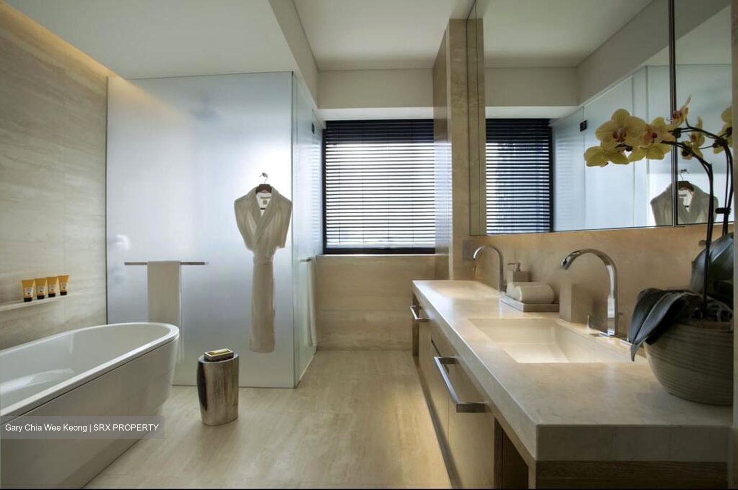 Hana (D10), Condominium #477290401